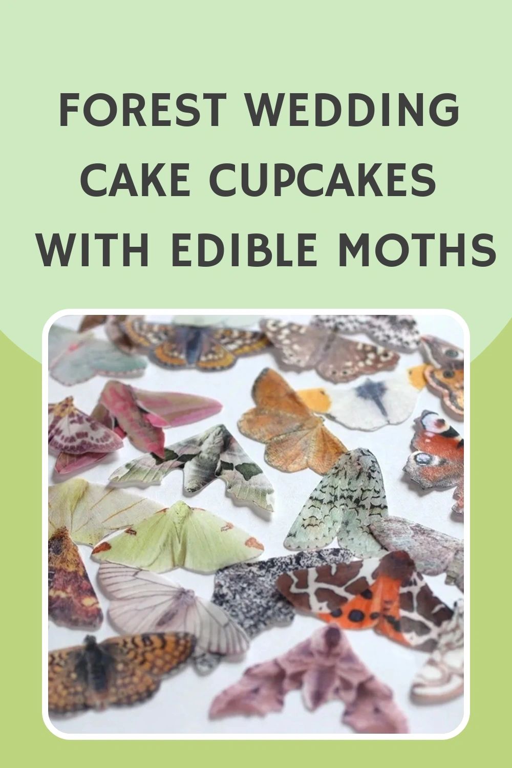Woodland wafer paper cake decorating kit for moth cakes