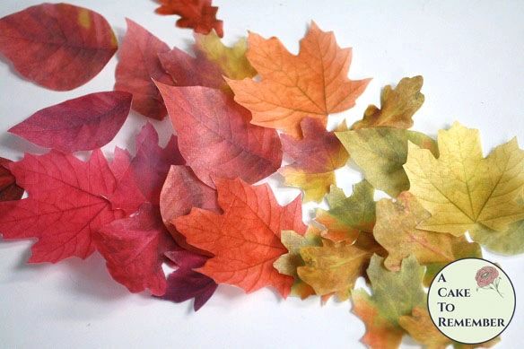 How to Make Fall Leaves out of Wafer Paper for Cake Decorating