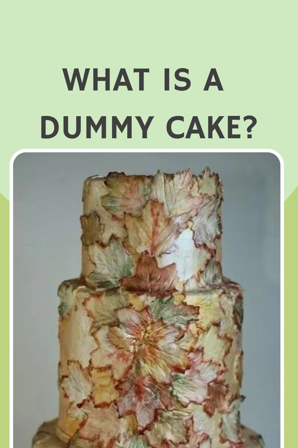 Cake Dummy Round 10 x 1 Inches - Mia Cake House