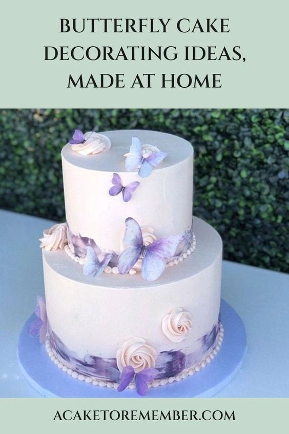 Butterfly Cake Decorating Ideas, Made At Home