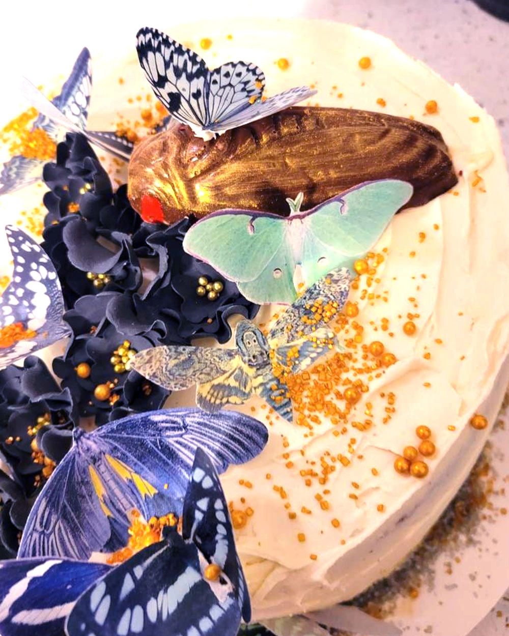 Black Edible Butterflies and Moths Cake