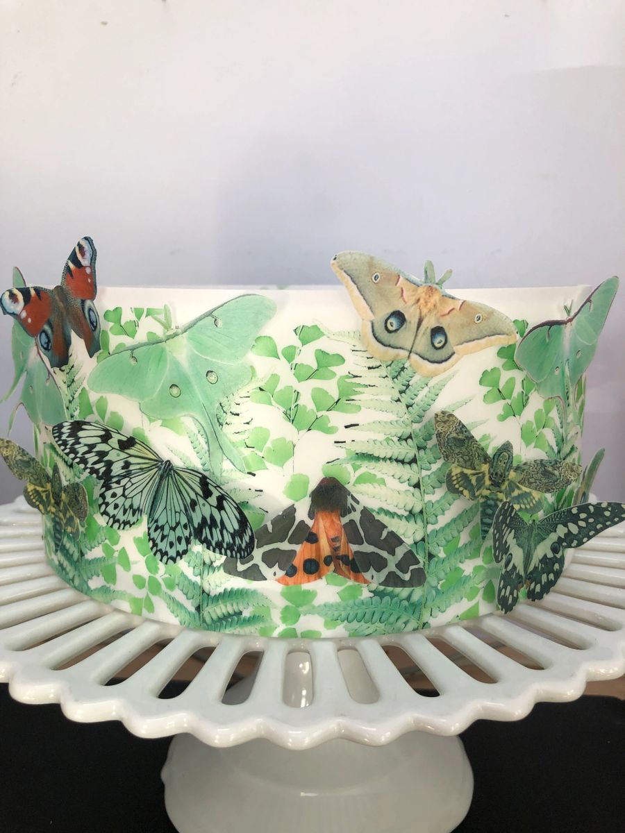 Woodland wafer paper cake decorating kit for moth cakes