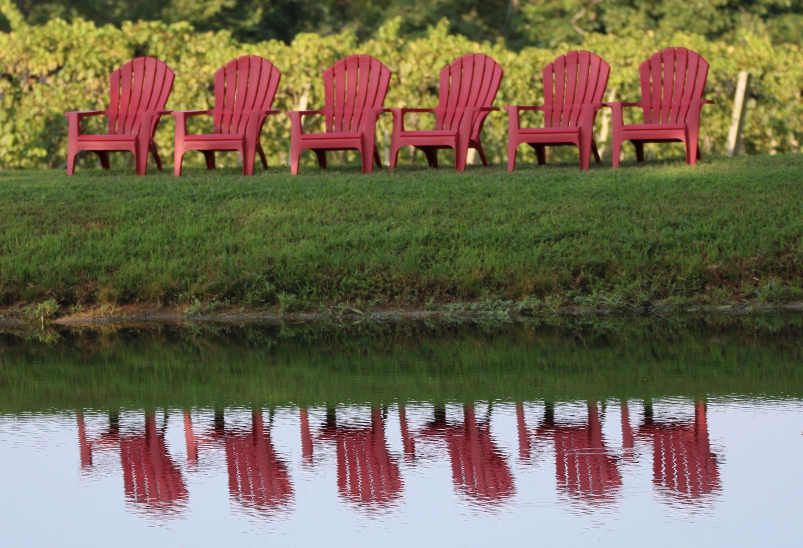 Feather Hills Vineyard and Winery Wine Trail, Vineyard, Winery