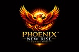 Phoenix new rise consulting