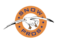 Snow Pros Hunting 