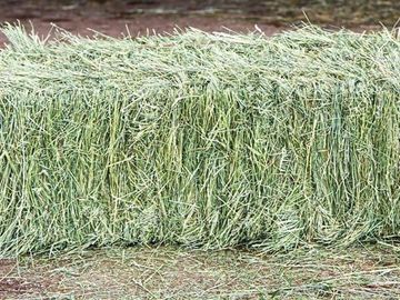 Bermuda Hay Bale 3 - String