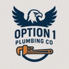 Option 1 Plumbing Co