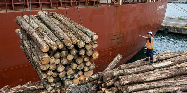 Worker directs the unloading of logs from a ship to the dock.