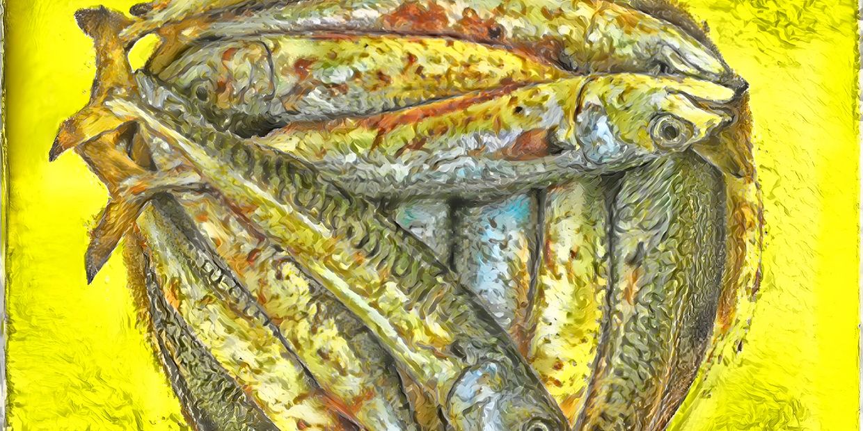 The Triangle of Life by Allan Levy