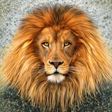 picture of a lion representing the prophetic