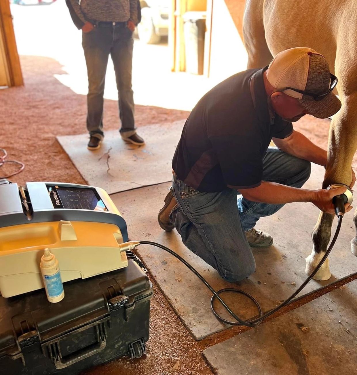 Dr. Potter using the Piezowave shockwave to treat an equine soft tissue injury. 
