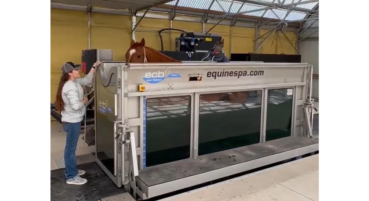 Equine hydrotherapy treadmill for fitness and rehabilitation.  