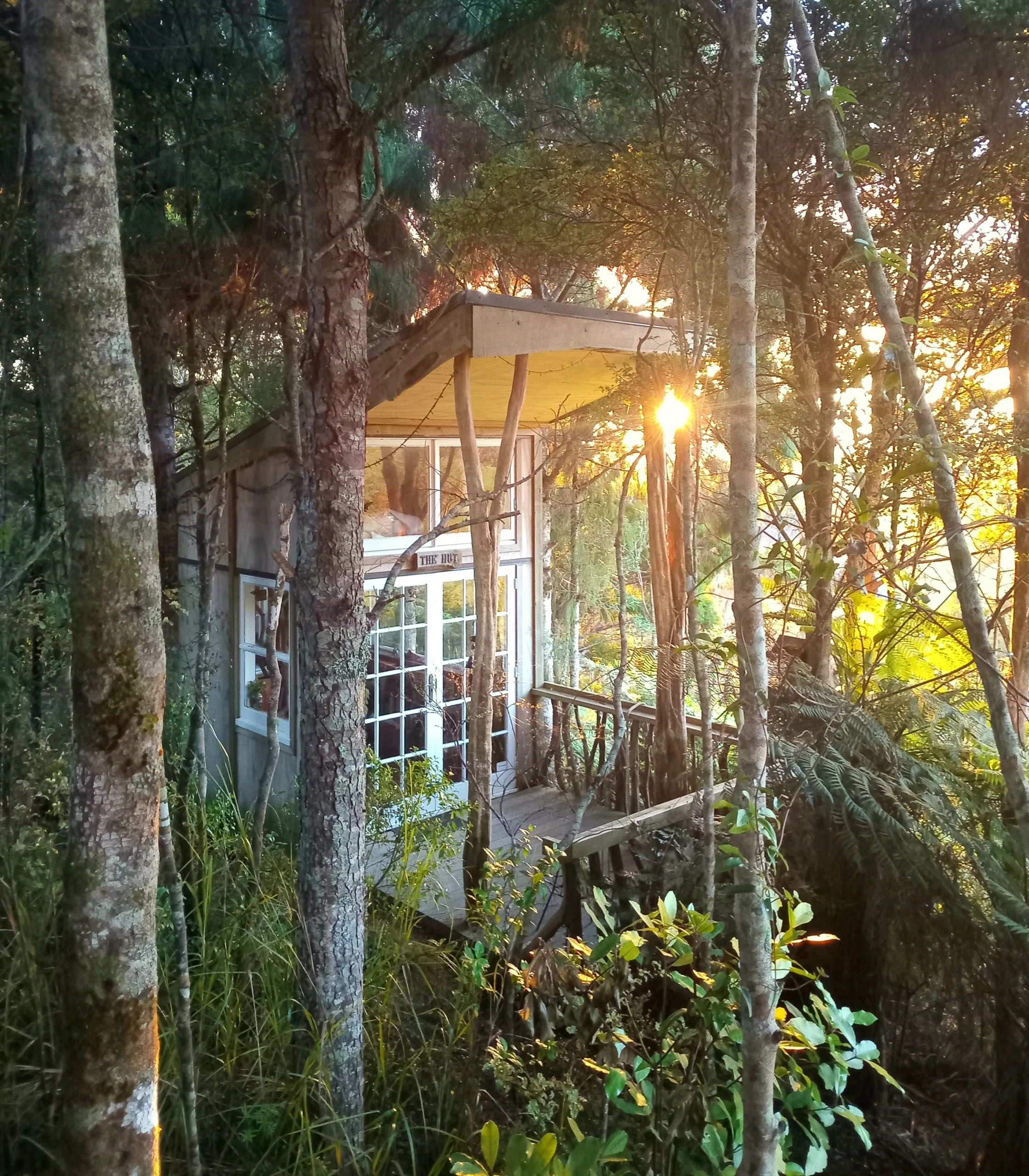 A cozy cabin in the forest at sunset.
