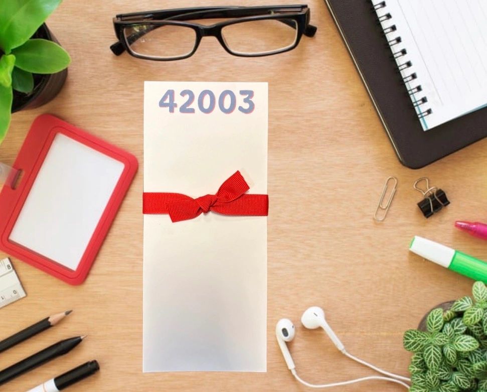 42003 Zip Code Skinny Notepad