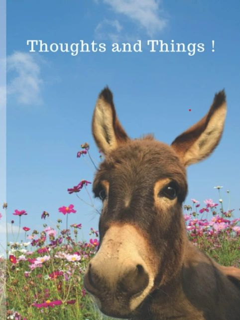 Close-up of a donkey in a field of flowers under a blue sky with the text 'Thoughts and Things!'