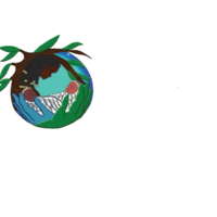 Mothering Birth