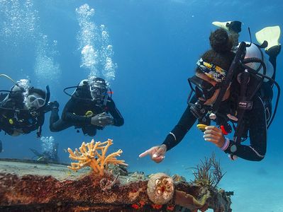 PADI Divemaster guiding divers in the ocean.