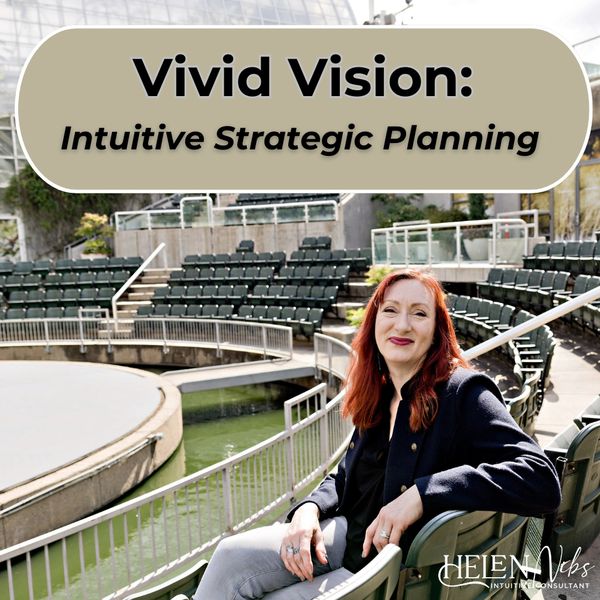 vivid vision graphic