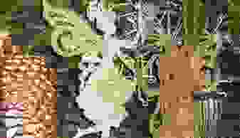 image21