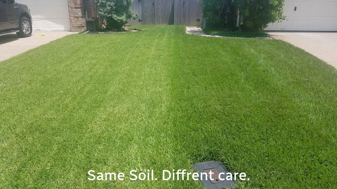 Healthy residential lawn in Salina Kansas showing professional lawn and irrigation care results
