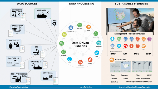 The Fisheries Value Chain