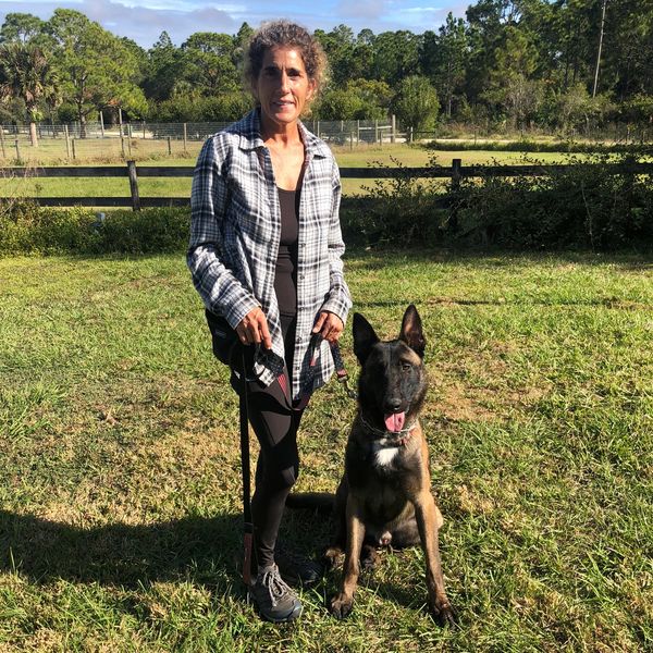 Professional dog trainer, Belgian Malinois and German Shepherd cross
