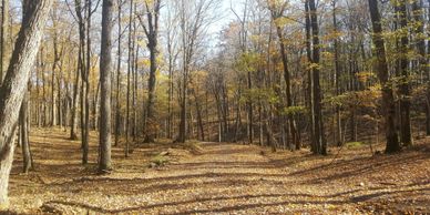 Taylor County ATV Trails