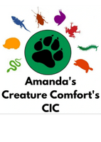 Amanda's Creature Comfort's