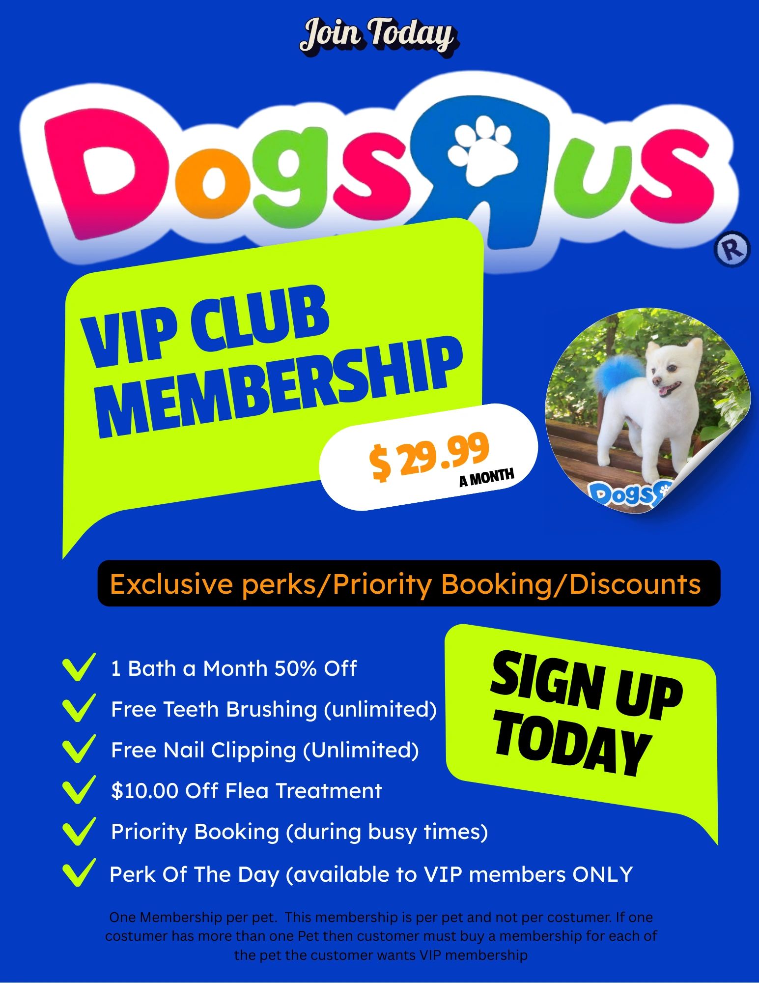 Introducing our VIP Membership for small dogs.
