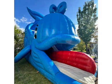 Giant Whale Slide