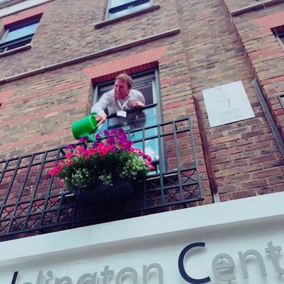 Learn English in London at our lovely language school.