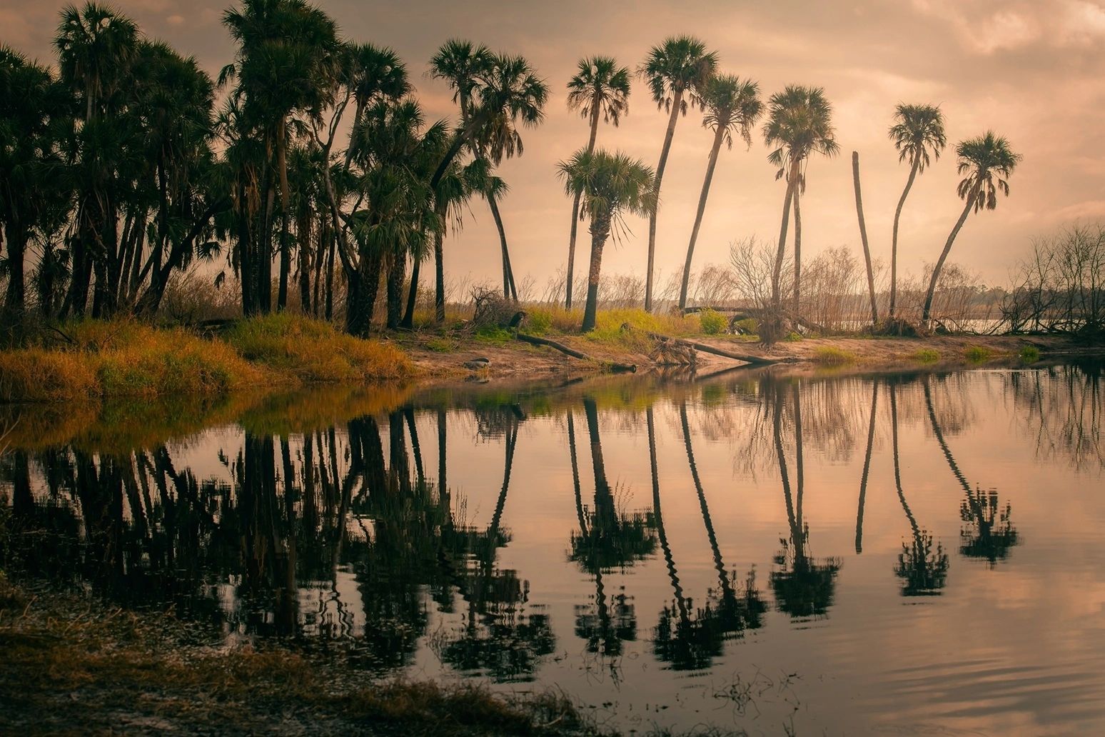 Discount Water Supply