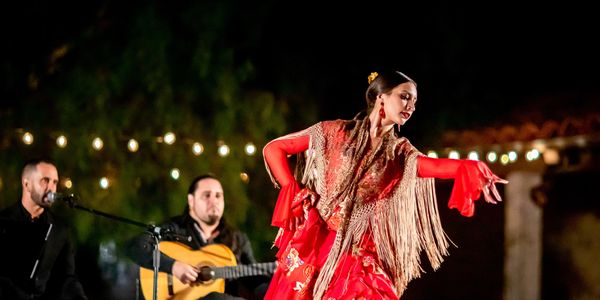 Flamenco dancer passionately performs with live guitar and singer at night.