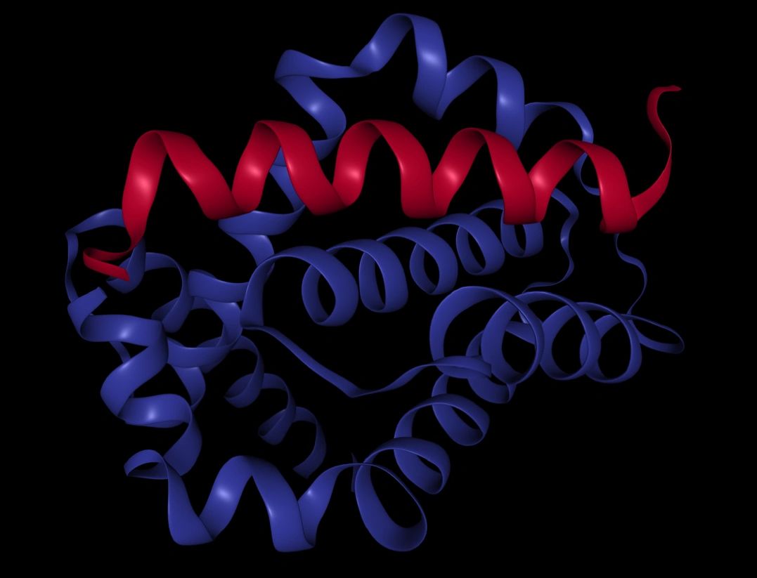 RCSB PDB: 3FDL
Image created with NGL viewer (AS Rose et al. 2018)