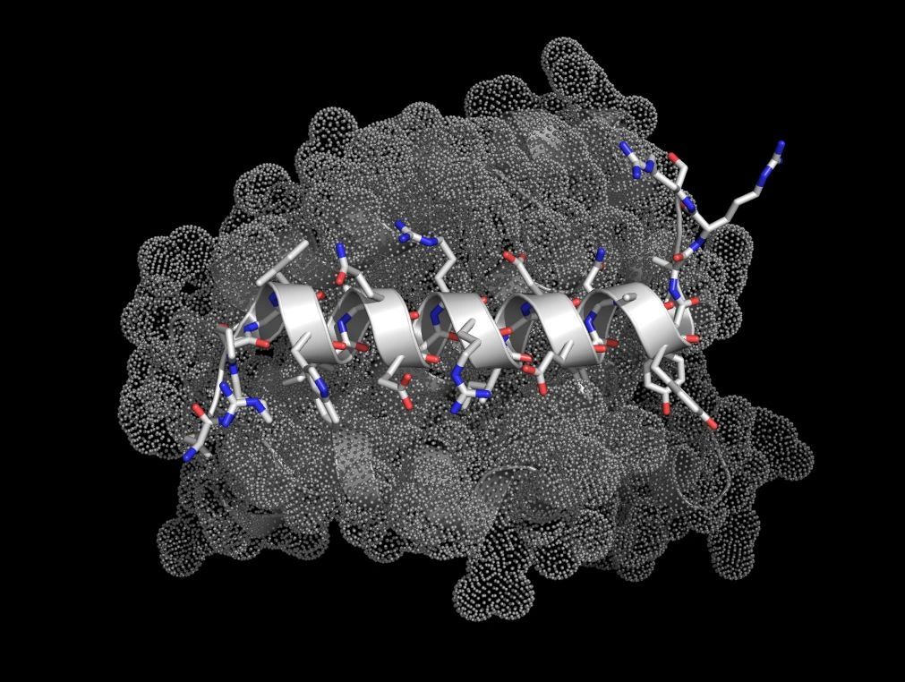 Bim peptide bound to Bcl-xL PDB:3FDL