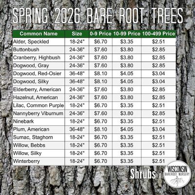 Shrubs price list