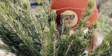Wisconsin Bareroot Nursery information