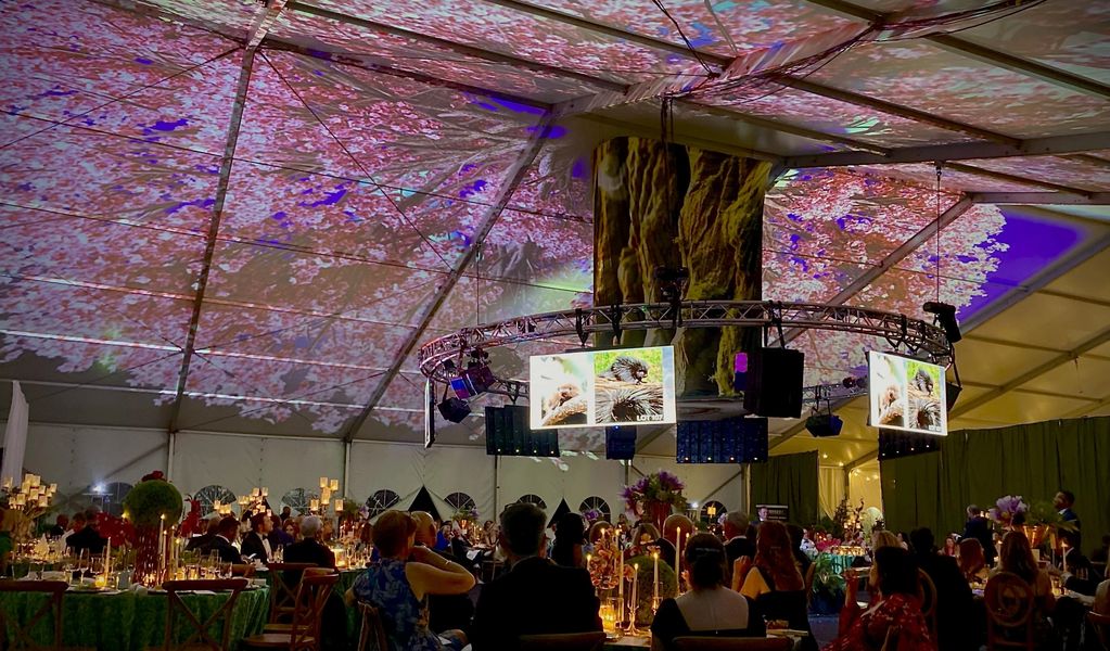 LED Display in the round with Audio Array for Vintage on the Green Fundraiser at Maymont Park in Ric