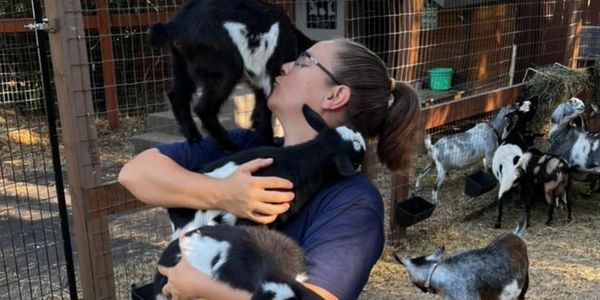 Goat care sitter collier county Naples Florida farm watch service pet sitting golden gate estates FL