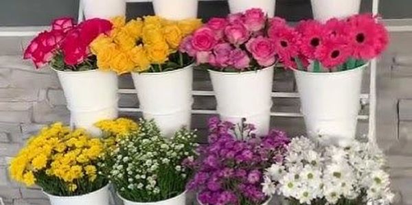 Colorful flowers in a bloom bar