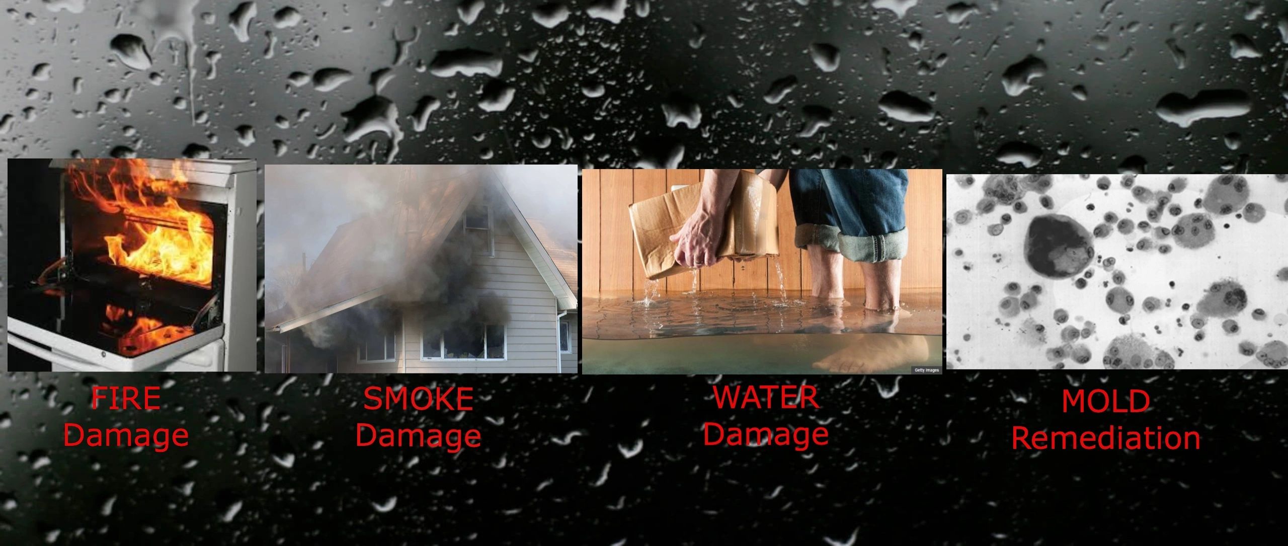 Fire damage, smoke damage, water damage, mold damage.