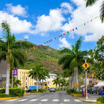 A sunny street lined with palm trees and colorful flags.