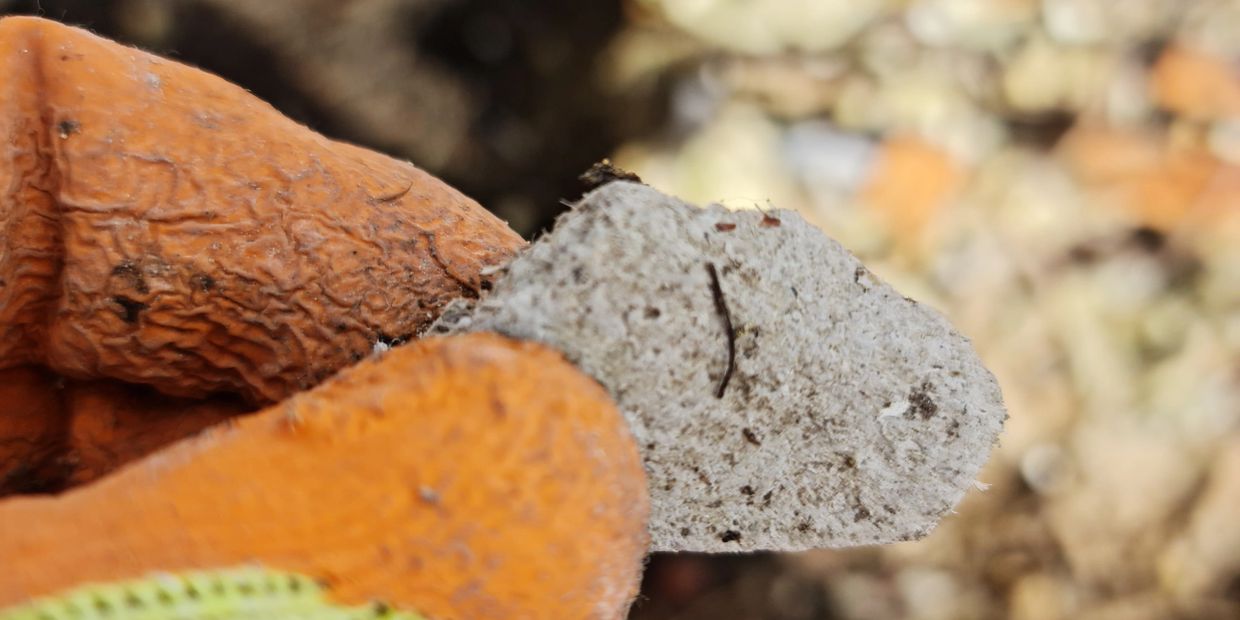 Asbestos found in the soil within bounds of a property.