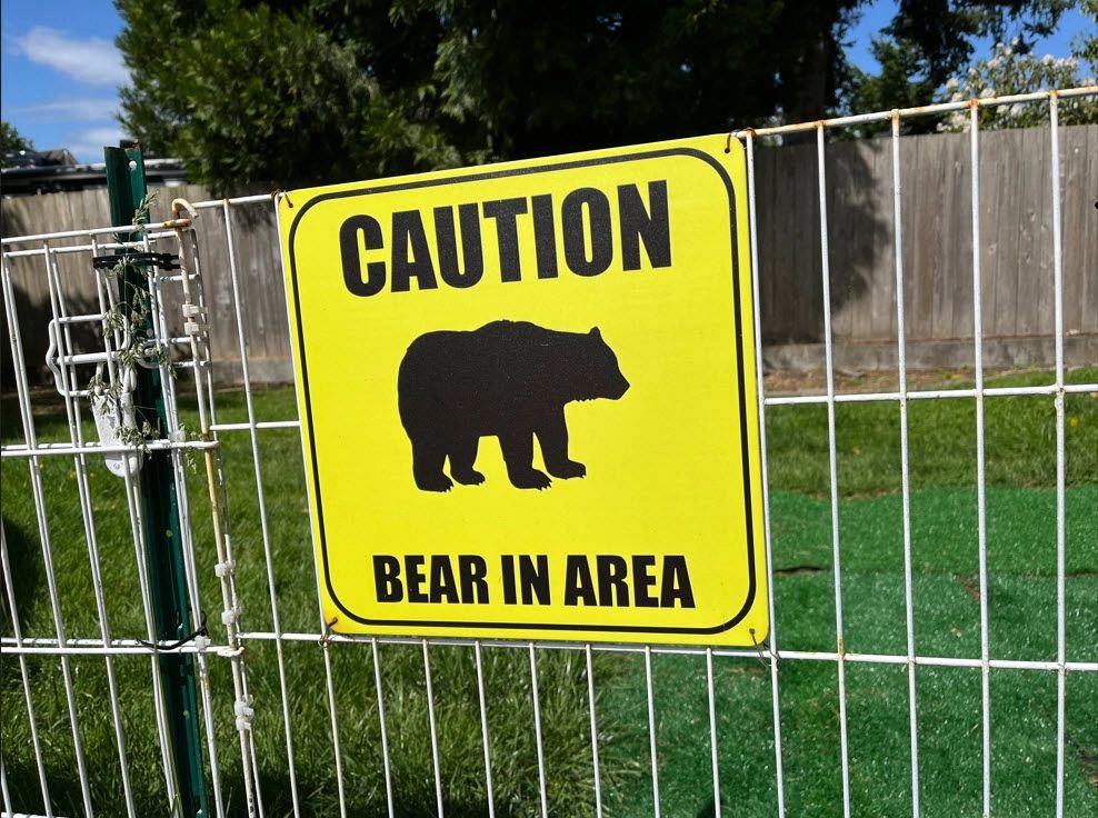 Black Bear Conflict & Depredation - Big Bear Services, LLC 
https://big-bear-services.com/black-bear