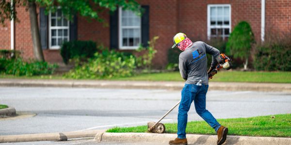 Lawn Edging 