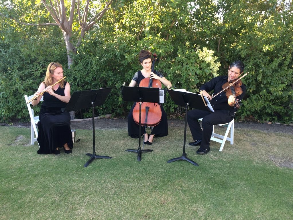 The Trilla Trio playing an outside wedding.