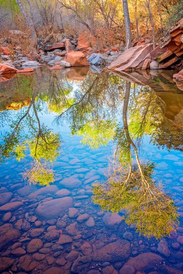 "Sedona Spring", Sedona, AZ