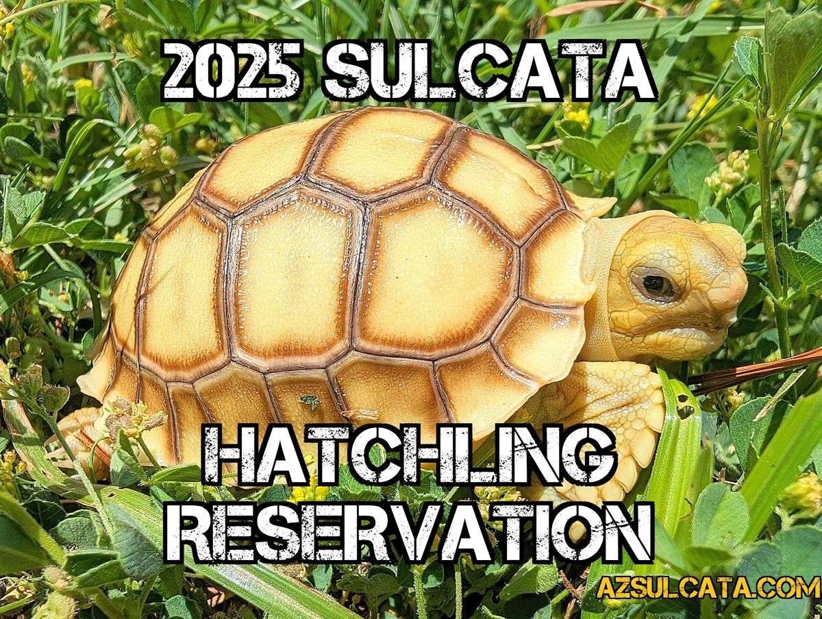 azsulcata.com