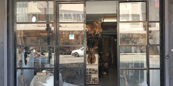 Front view of a shop with animal hides and taxidermy displayed.