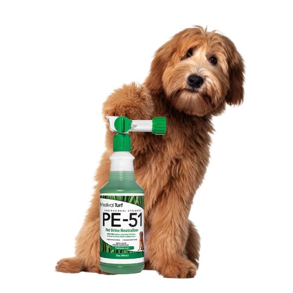 PET FRIENDLY ARTIFICIAL GRASS CLEANER AND ODOR NEUTRALIZER